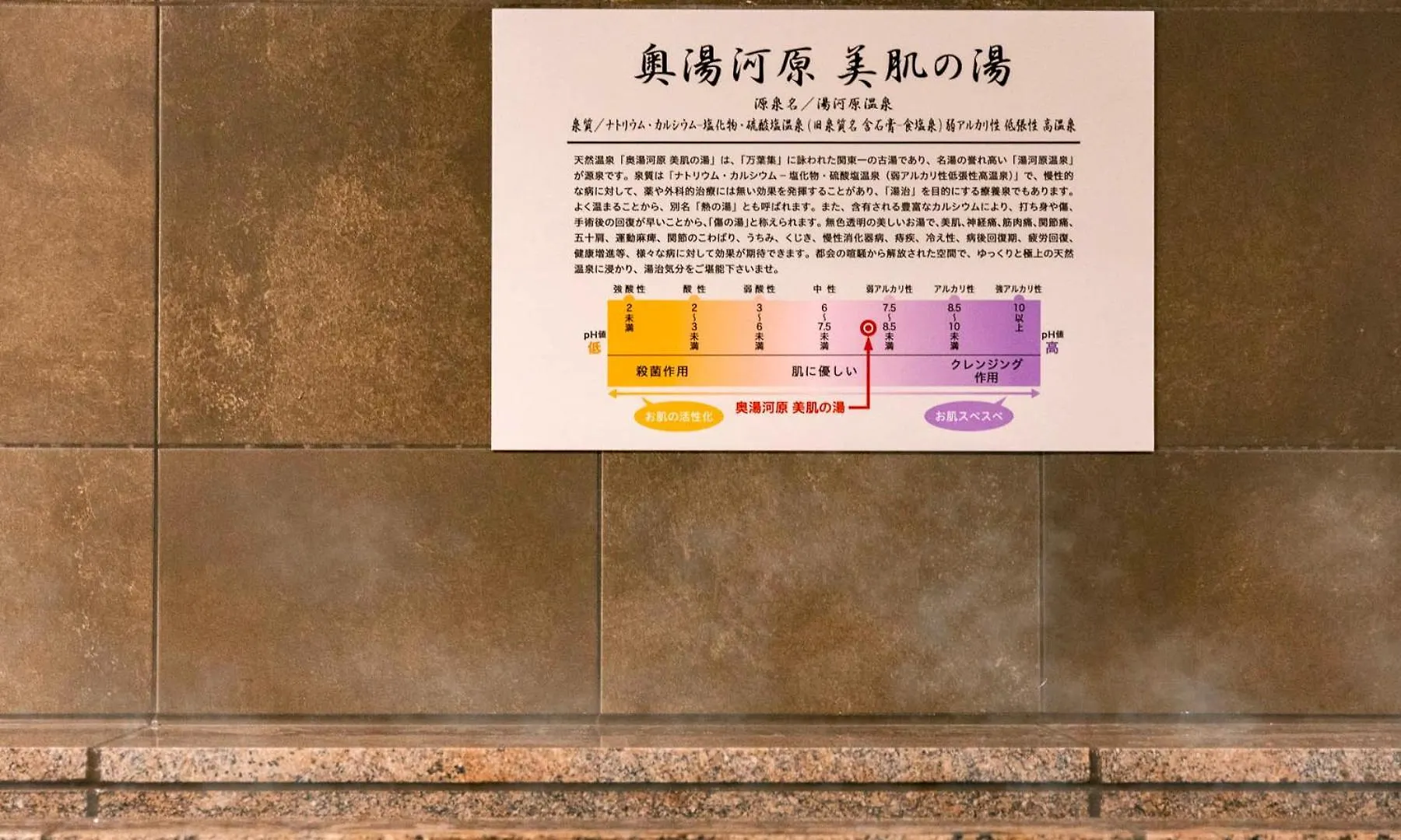 Super Hotel Ikebukuro West Natural Hot Spring Tokyo 3*,